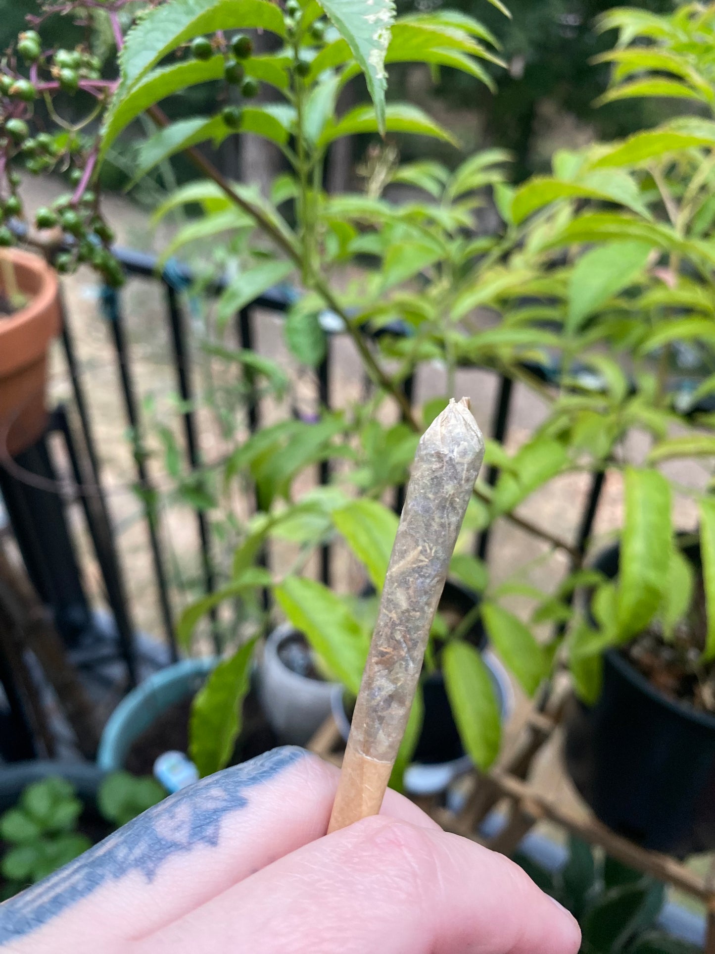 relaxing herbal smoking blend