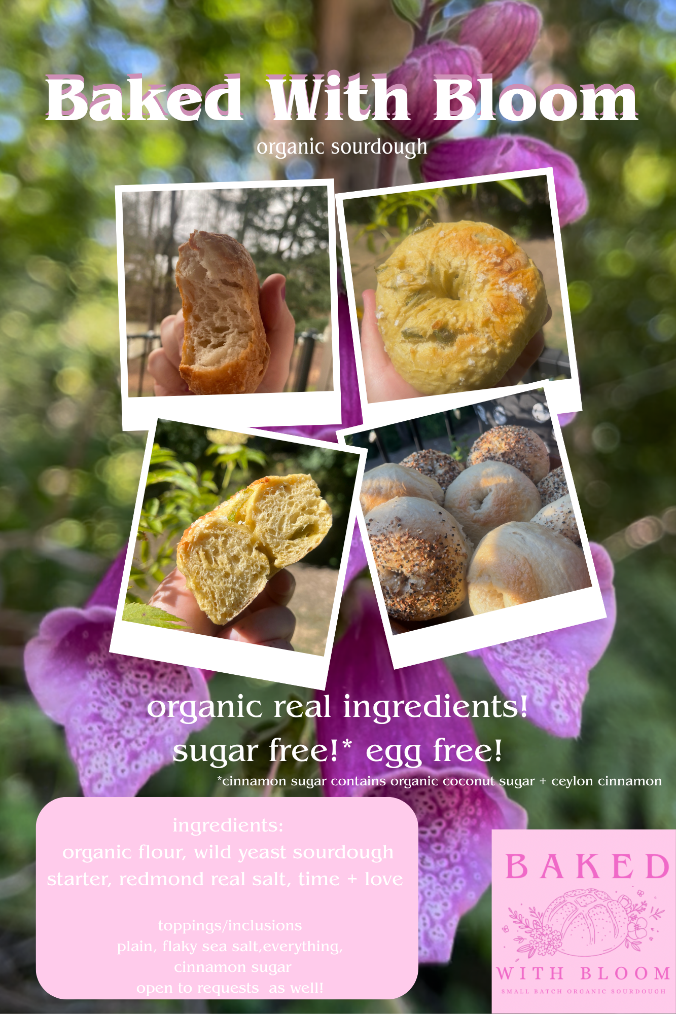 organic sourdough bagels