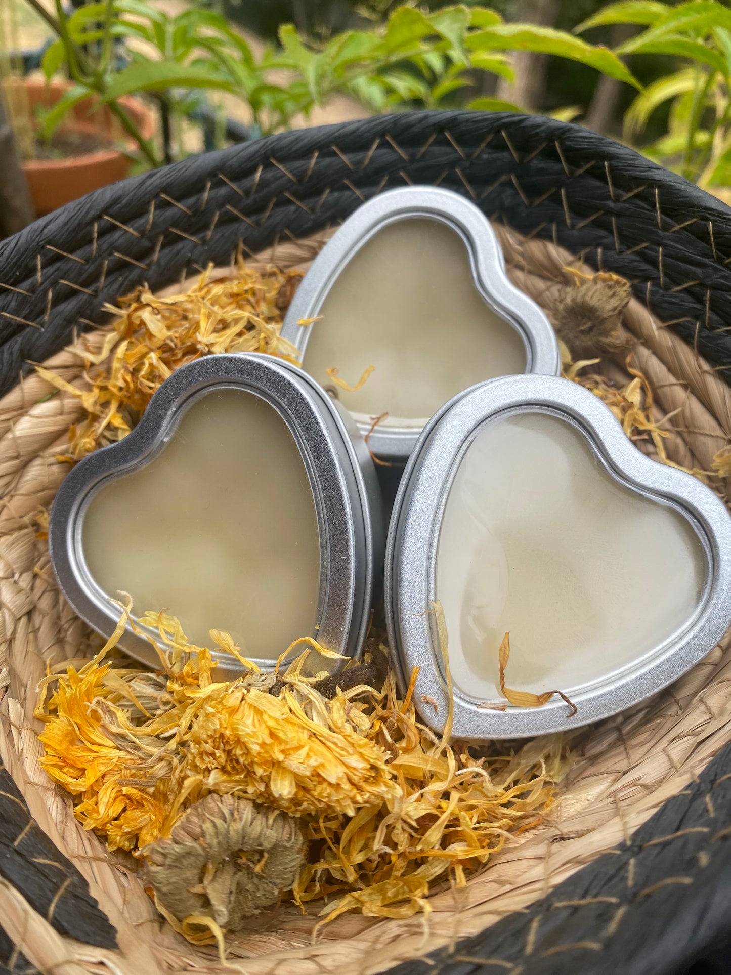calendula salve ~organic