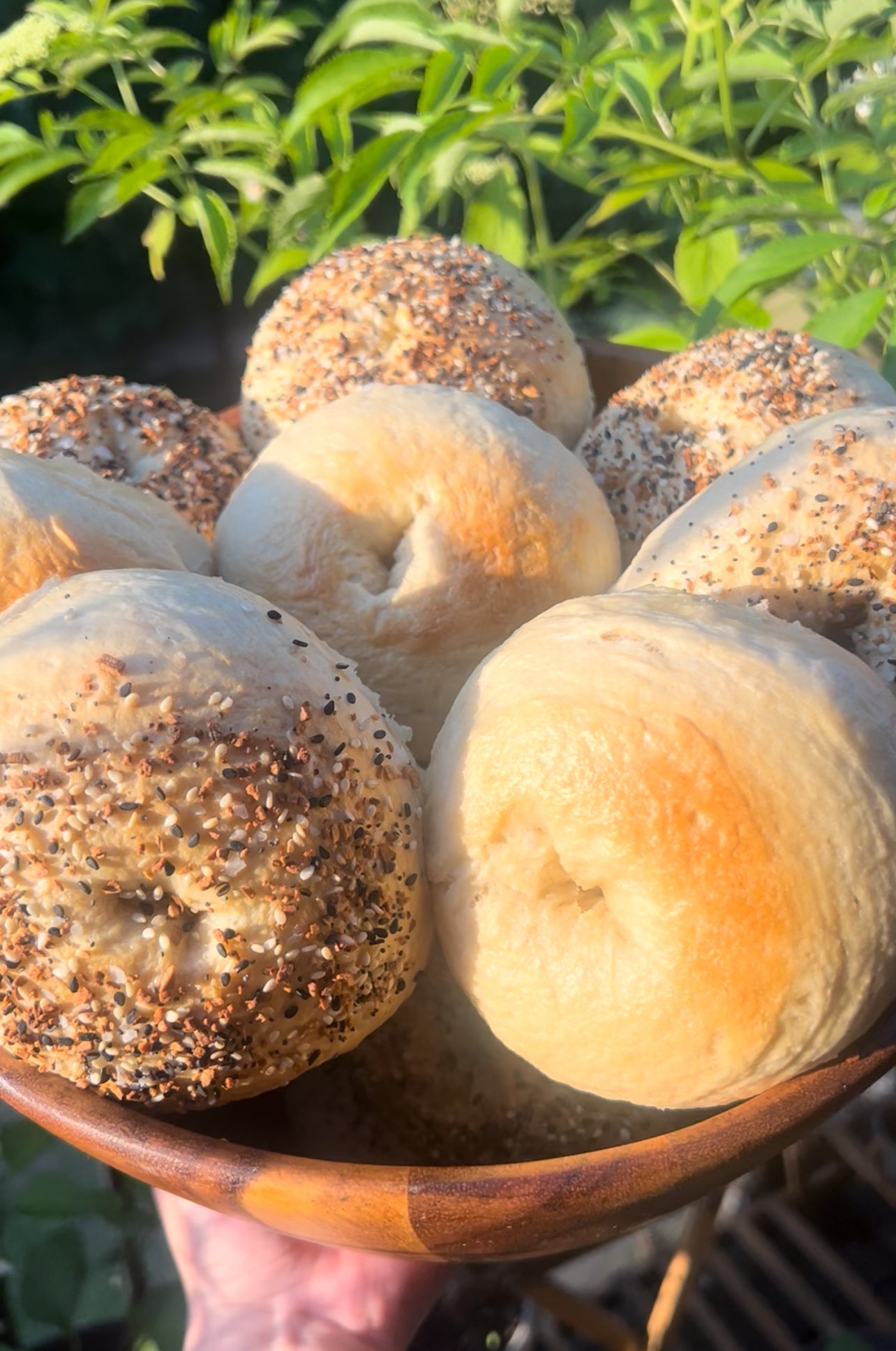organic sourdough bagels