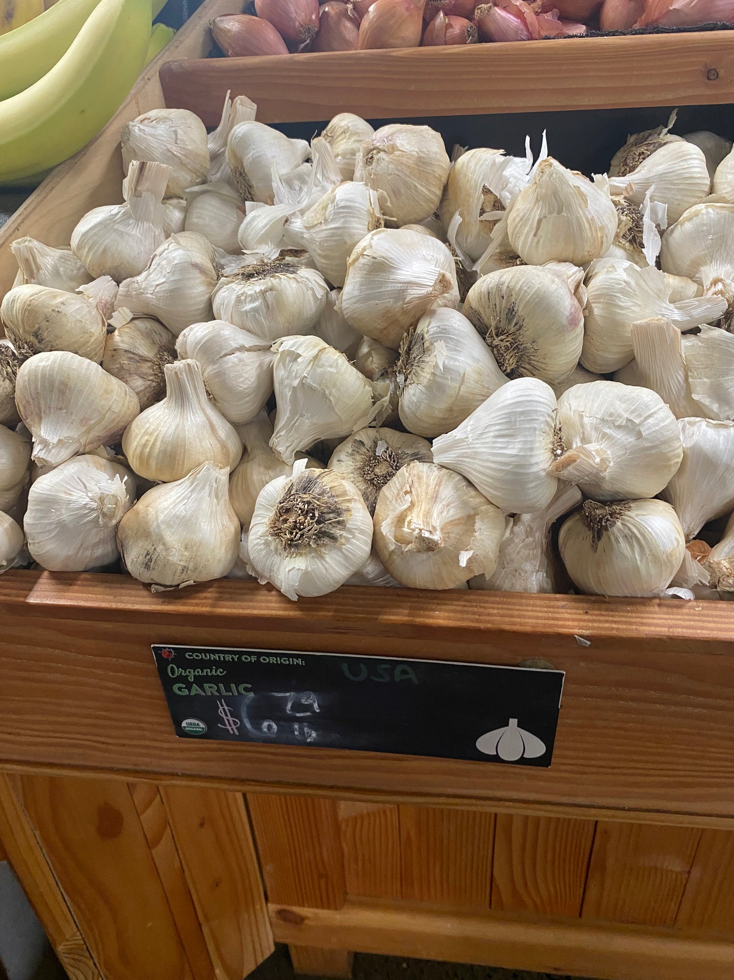 PREORDER- organic garlic honey elixir