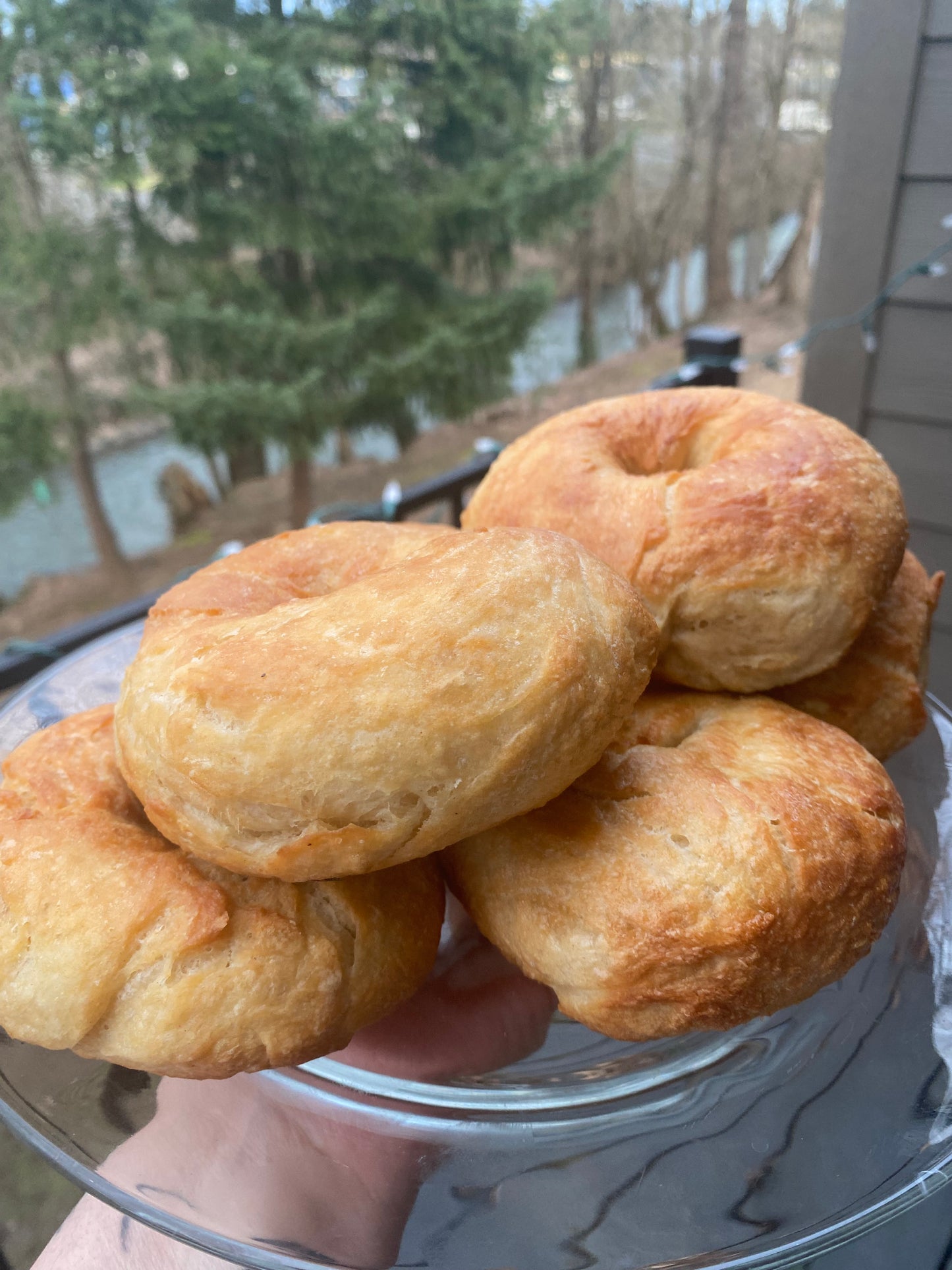 organic sourdough bagels