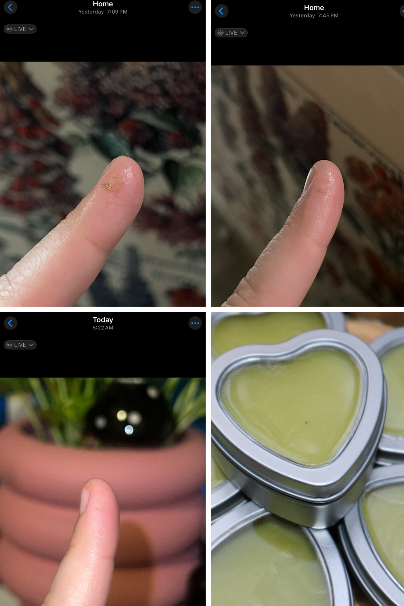 magic herbal healing salve~ organic 2oz